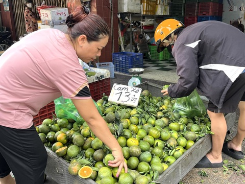 Mùa thi uống nước cam 'giải tỏa căng thẳng' trong học hành?- Ảnh 1. Người dân mua cam tại chợ Bà Chiểu, quận Bình Thạnh, TP.HCM - Ảnh: THÙY DƯƠNG