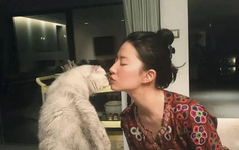 'Thần tiên tỷ tỷ' 37 tuổi Lưu Diệc Phi độc thân, giàu có và làm mẹ của 20 con mèo- Ảnh 5. 'Thần tiên tỷ tỷ' 37 tuổi Lưu Diệc Phi độc thân, giàu có và làm mẹ của 20 con mèo- Ảnh 5.