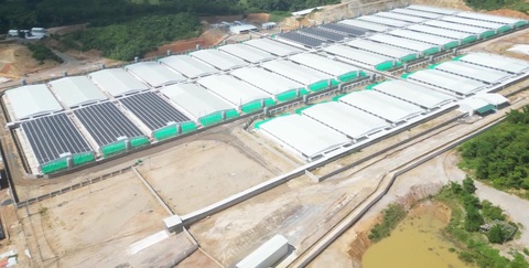 Người dân khốn khổ vì trang trại nuôi heo gây ô nhiễm- Ảnh 1. Trang trại nuôi heo của Công ty cổ phần đầu tư nông nghiệp Agri-Vina ở xã Tân Phúc, huyện Lang Chánh (Thanh Hóa) gây ô nhiễm môi trường - Ảnh: HÀ ĐỒNG