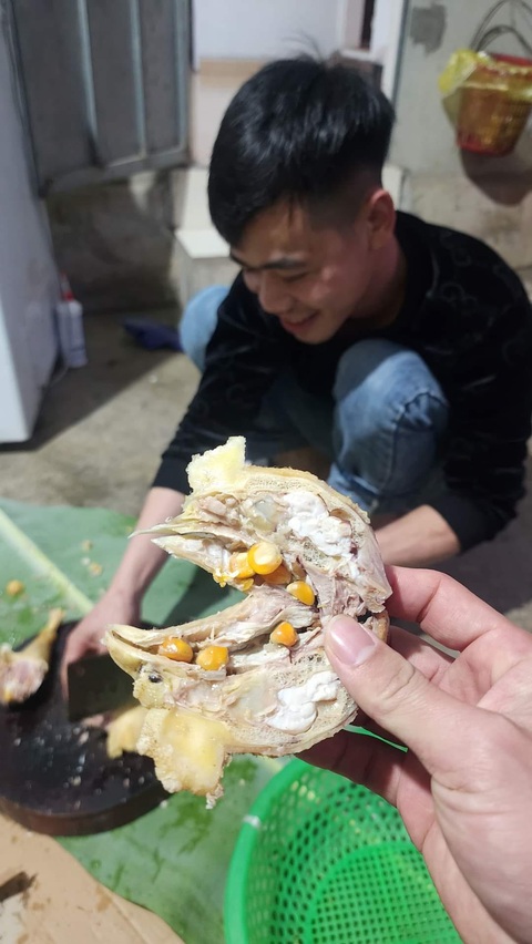 Ảnh vui 20-5: Ván cờ gay go- Ảnh 3. Bằng chứng là gà thả vườn.