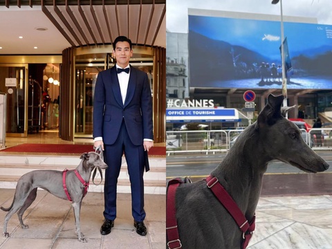Bành Vu Yến bảnh bao, dẫn theo cún cưng đi dự Cannes 2024 - Ảnh: Weibo Bành Vu Yến bảnh bao, dẫn theo cún cưng đi dự Cannes 2024 - Ảnh: Weibo