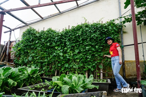 Những vườn rau xanh mát giữa muôn trùng sóng gió Trường Sa- Ảnh 7. Đến đảo nào chị Phương Thúy (Hà Nội) cũng tranh thủ ghé thăm vườn rau của các chiến sĩ
