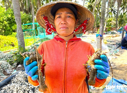 Bà Nguyễn Thị Thương (49 tuổi, xã Xuân Thịnh, thị xã Sông Cầu, tỉnh Phú Yên) bỗng chốc trắng tay vì hàng ngàn con tôm hùm của gia đình bà đột nhiên bị chết hàng loạt - Ảnh: NGUYỄN HOÀNG Bà Nguyễn Thị Thương (ngụ xã Xuân Thịnh, thị xã Sông Cầu, tỉnh Phú Yên) bỗng chốc trắng tay vì hàng ngàn con tôm hùm của gia đình bà đột nhiên bị chết hàng loạt - Ảnh: NGUYỄN HOÀNG