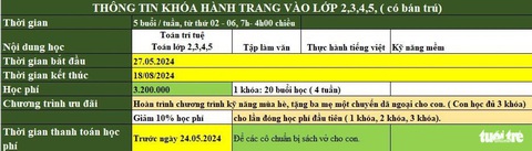 Đà Nẵng: Lớp bán trú hè 'trăm hoa đua nở' dù Sở Giáo dục nói cấm- Ảnh 2. Lịch học bán trú của trung tâm toán trí tuệ S. - Ảnh: ĐOÀN NHẠN