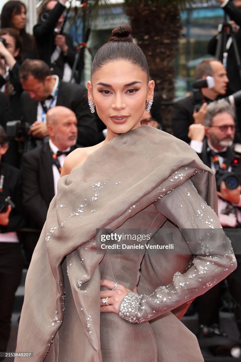 Hoa hậu Hoàn vũ Philippines 2015 'quấn chăn' lên thảm đỏ Cannes- Ảnh 2. Trang phục của Hoa hậu Hoàn vũ Philippines là một thiết kế của thương hiệu Stephane Rolland