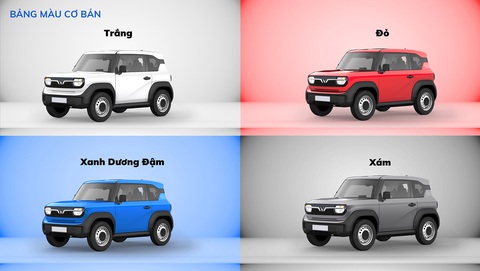 Doanh thu xe điện sẽ chiếm 50% thị trường toàn cầu- Ảnh 2. Với cam kết hướng đến giảm phát thải ròng bằng 0 vào năm 2050, Việt Nam cũng là quốc gia chú trọng phát triển xe điện