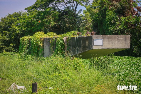 BOT đường nối Võ Văn Kiệt: Tính toán cả phương án khởi kiện nhà đầu tư Yên Khánh- Ảnh 1. Một trụ cầu bị hoang hóa, dây leo phủ kín thuộc dự án BOT đường nối Võ Văn Kiệt với cao tốc TP.HCM - Trung Lương - Ảnh: LÊ PHAN