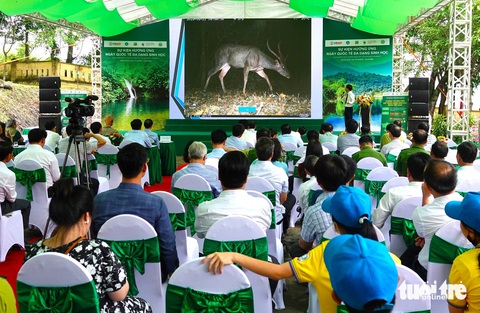 Một vườn quốc gia tháo gỡ gần 1.500 bẫy động vật trong năm- Ảnh 1. Toàn cảnh sự kiện hưởng ứng Ngày Quốc tế đa dạng sinh học được tổ chức tại Vườn quốc gia Vũ Quang - Ảnh: LÊ MINH