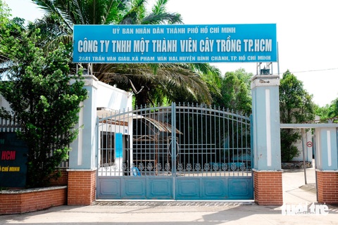 Công ty Cây trồng TP.HCM 'cầu cứu' vì hết tiền trả lương, nợ thuế hơn 300 tỉ- Ảnh 1. Trụ sở Công ty TNHH MTV Cây trồng TP.HCM (Công ty Cây trồng) tại huyện Bình Chánh - Ảnh: PHƯƠNG NHI