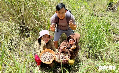 Dân Phú Quốc săn nấm tràm bán kiếm tiền triệu- Ảnh 7. Người dân Phú Quốc tranh thủ đi 'săn' nấm tràm về ăn - Ảnh: CHÍ CÔNG