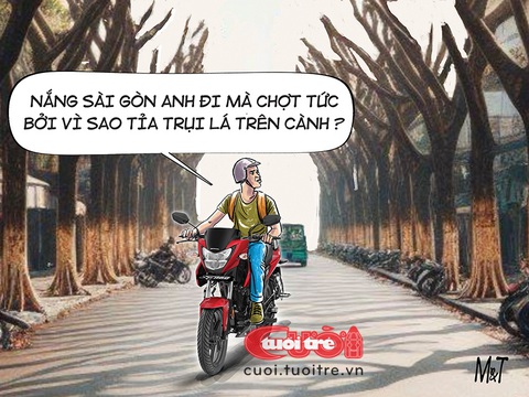 Nắng Sài Gòn anh đi mà chợt... tức- Ảnh 1. Nắng Sài Gòn anh đi mà chợt... tức - Tranh: Đỗ Minh Tuấn