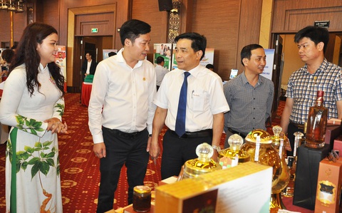 Ấn tượng Techfest Quang Nam 2024- Ảnh 2. Lãnh đạo Tỉnh ủy Quảng Nam tham quan các sản phẩm trưng bày của doanh nhân trẻ - Ảnh: V.A