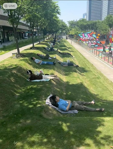 Ảnh vui 23-5: Hỏi thế gian tình ái là chi?- Ảnh 6. Thiết kế công viên dành cho người chỉ thích nằm.