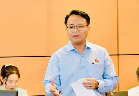 Cán bộ trong tổ giúp việc hội đồng thẩm định giá đất cũng bị điều tra- Ảnh 1. Đại biểu Đặng Hồng Sỹ - Ảnh: GIA HÂN