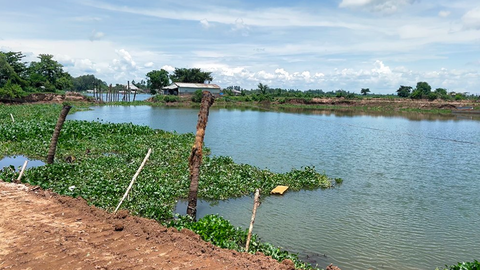 Công an đang xác minh vụ phóng viên tố bị 'cát tặc' chặn đánh- Ảnh 2. Khu vực diễn ra việc hút cát - Ảnh: TIẾN VĂN