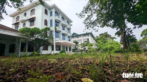 Cận cảnh loạt trụ sở bỏ hoang nằm trên ‘đất vàng’ dọc sông Hương- Ảnh 2. Trụ sở cũ của Sở Giáo dục và Đào tạo tỉnh Thừa Thiên Huế cỏ dại mọc đầy - Ảnh: NHẬT LINH