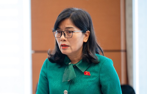 Các tướng công an nói lý do cần quy định dao có tính sát thương cao là vũ khí- Ảnh 3. Thiếu tướng Nguyễn Thị Xuân - Ảnh: GIA HÂN