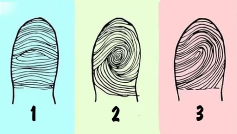 Khám phá bí mật tính cách qua dấu vân tay của bạn- Ảnh 1.