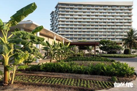 Khánh Hòa xây dựng du lịch xanh, khách làm nông dân ngay tại resort- Ảnh 2. Không gian xanh tại một resort ở Bãi Dài - Ảnh: TUẤN ANH