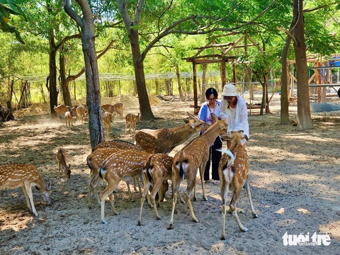 Khánh Hòa xây dựng du lịch xanh, khách làm nông dân ngay tại resort- Ảnh 3. Vườn thú mở tại đảo Hoa Lan - Ảnh: MINH CHIẾN