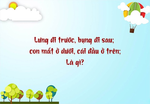 Câu đố hack não: Mắt ở dưới, cái đầu ở trên là gì?- Ảnh 1. Câu đố hack não: Mắt ở dưới, cái đầu ở trên là gì?- Ảnh 1.