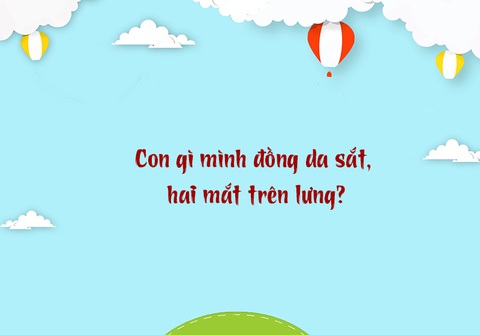 Câu đố hack não: Mắt ở dưới, cái đầu ở trên là gì?- Ảnh 3. Câu đố hack não: Mắt ở dưới, cái đầu ở trên là gì?- Ảnh 3.