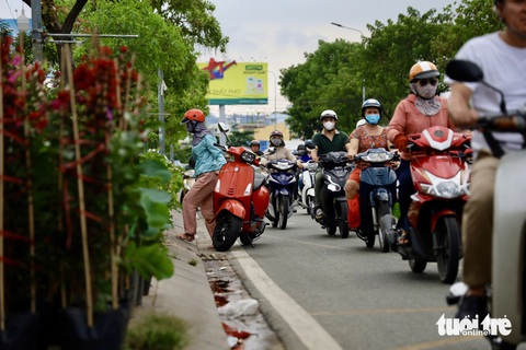 Sau phản ánh, vỉa hè đường Nguyễn Hữu Thọ tiếp tục bị lấn chiếm- Ảnh 3. Nhiều người thản nhiên để xe dưới lòng đường để mua cây, gây nguy hiểm cho phương tiện, xe cộ qua lại - Ảnh: NGỌC QUÝ