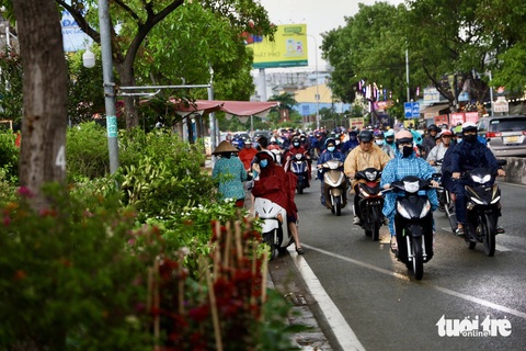 Sau phản ánh, vỉa hè đường Nguyễn Hữu Thọ tiếp tục bị lấn chiếm- Ảnh 10. Mặc kệ dòng xe đông đúc, nhiều người vẫn dừng lại hỏi mua cây cảnh dưới lòng đường - Ảnh: NGỌC QUÝ