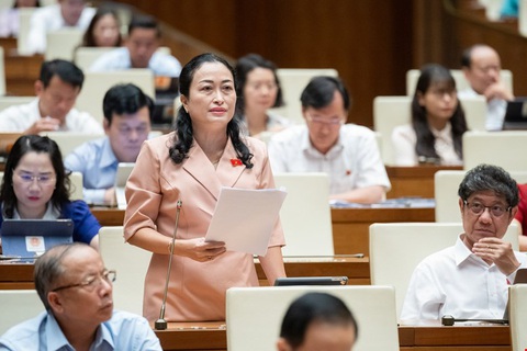 Vẫn tranh luận rút bảo hiểm xã hội một lần, đề xuất lùi thời gian thông qua luật- Ảnh 2. Đại biểu Trần Thị Hoa Ry - Ảnh: QUOCHOI.VN
