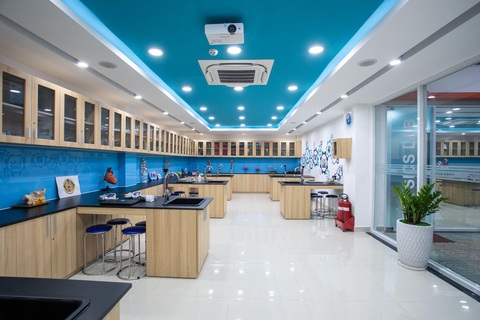 Hơn 97% học sinh Asian School miễn thi môn ngoại ngữ THPT 2024- Ảnh 3. Hơn 97% học sinh Asian School miễn thi môn ngoại ngữ THPT 2024- Ảnh 3.
