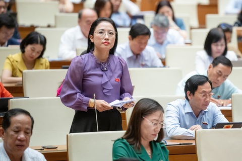 Vẫn tranh luận rút bảo hiểm xã hội một lần, đề xuất lùi thời gian thông qua luật- Ảnh 1. Đại biểu Trần Khánh Thu - Ảnh: GIA HÂN