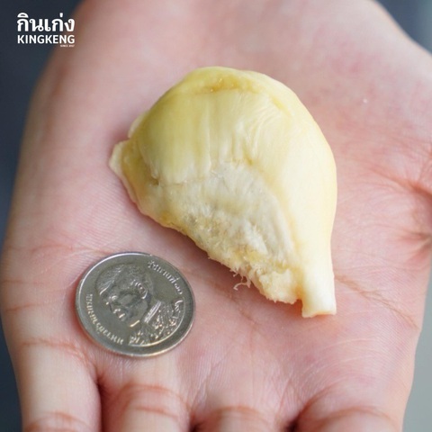 Độc lạ xì tai bán sầu riêng cho người có lương 5 triệu- Ảnh 1. Múi sầu riêng có giá 1 baht nhỏ... xíu xịu xìu xiu.