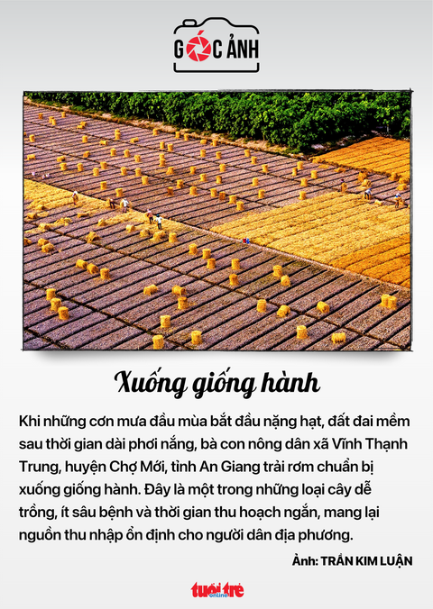 Tin tức sáng 29-5: Đề xuất giảm 36 khoản phí, lệ phí; Nhìn lại thị trường việc làm quý 2- Ảnh 7. Tin tức sáng 29-5: Đề xuất giảm 36 khoản phí, lệ phí; Nhìn lại thị trường việc làm quý 2- Ảnh 7.