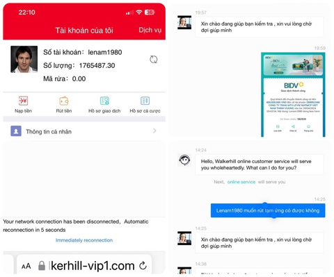 Nghe lời rủ rê nạp tiền trên mạng, người phụ nữ mất trắng 14,7 tỉ đồng- Ảnh 2. Thấy số tiền lên tới cả triệu USD trong tài khoản ở trang web có tên walkerhill-vip1.com, bà Thủy đi vay mượn người thân, bạn bè để