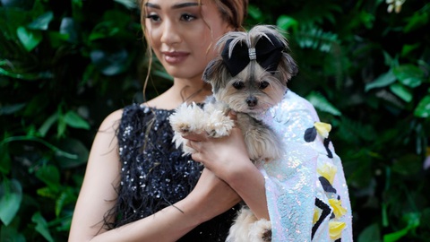 Ngắm bộ cánh ấn tượng nhất Met Gala 2024 trong phiên bản 'lắm lông'- Ảnh 7. Ngắm bộ cánh ấn tượng nhất Met Gala 2024 trong phiên bản 'lắm lông'- Ảnh 7.