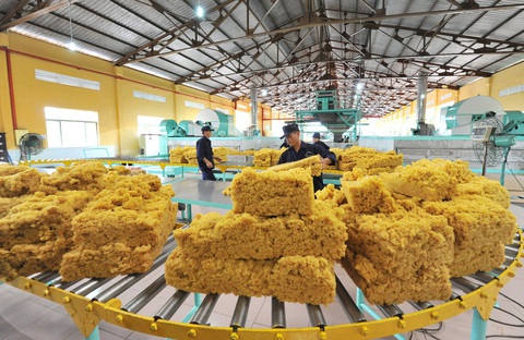 Tập đoàn Công nghiệp cao su Việt Nam (VRG) thông tin liên quan khu đất 39 - 39B Bến Vân Đồn- Ảnh 1. Tập đoàn VRG kêu gọi người lao động giữ vững tinh thần, tập trung vào nhiệm vụ sản xuất kinh doanh