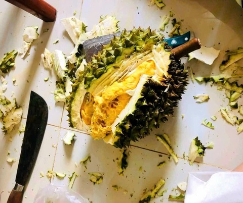 Sầu riêng cũng là 
