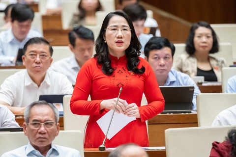 Đại biểu Quốc hội: Người dân phải thắt lưng buộc bụng nộp thuế thu nhập cá nhân- Ảnh 1. Đại biểu Nguyễn Thị Thủy - Ảnh: GIA HÂN