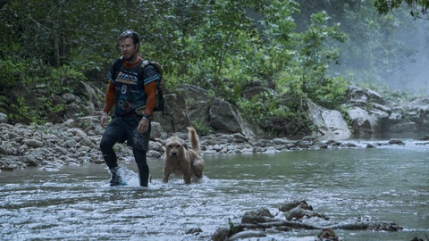 Arthur: Chú chó kiên cường có gì hấp dẫn?- Ảnh 7. Sức hấp dẫn của Arthur: Chú chó kiên cường không chỉ nằm ở những đại cảnh mãn nhãn, hình ảnh chú chó nhỏ trở thành thành viên bất đắc dĩ của đội đua địa hình và cùng những người bạn mới chinh phục chiếc cúp của ARW.