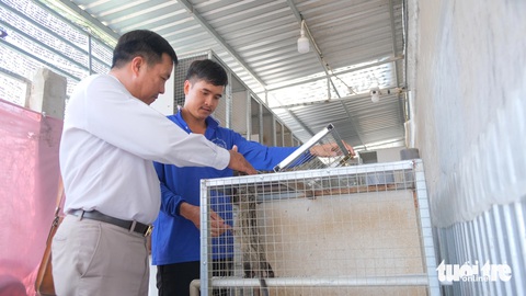 9X bỏ phố về quê nuôi chồn hương thu nhập trăm triệu đồng/tháng- Ảnh 1. Khách tham quan trại nuôi chồn hương của anh Nguyễn Văn Trúc - Ảnh: ĐẶNG TUYẾT