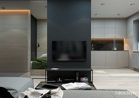 Độc đáo căn hộ studio nhỏ mà... không nhỏ- Ảnh 4. Vách ngăn ước lệ giữa phòng khách và các không gian khác - Ảnh: YØ DEZEEN