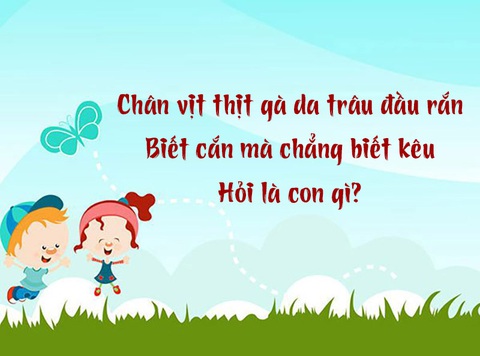 Câu đố hack não: Con gì chân vịt thịt gà da trâu đầu rắn?- Ảnh 1. Câu đố hack não: Con gì chân vịt thịt gà da trâu đầu rắn?- Ảnh 1.