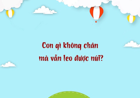 Câu đố hack não: Trên lợp ngói dưới có hoa là con gì?- Ảnh 3. Câu đố hack não: Trên lợp ngói dưới có hoa là con gì?- Ảnh 3.
