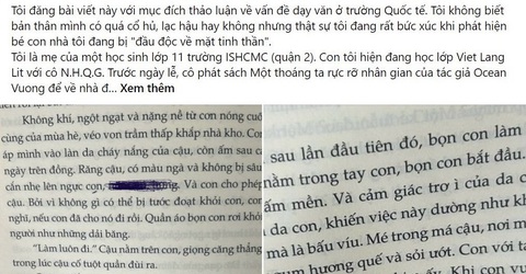Giáo viên trường quốc tế phát sách có nội dung nhạy cảm cho học sinh lớp 11- Ảnh 2. Bài viết và hình ảnh về các trang sách mà giáo viên phát cho học sinh lớp 11 được phụ huynh chia sẻ trên mạng xã hội - Ảnh: MỸ DUNG