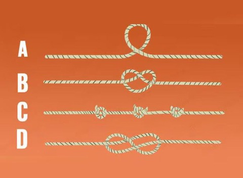 Quiz: Sợi dây nào hé lộ 'siêu năng lực' tiềm ẩn của bạn?- Ảnh 1. Quiz: Sợi dây nào hé lộ 'siêu năng lực' tiềm ẩn của bạn?- Ảnh 1.