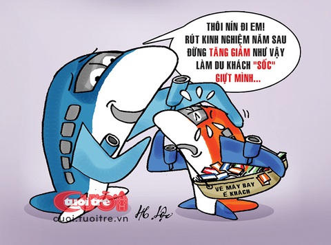 Giá vé máy bay... bị kiểm tra- Ảnh 1. Giá vé máy bay bị ế vì