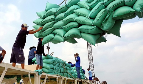 Thu mua lúa gạo miền Tây: quản lý thương lái cách nào cho nông dân sống được?- Ảnh 2. Gạo xuất khẩu lên tàu tại An Giang - Ảnh: BỬU ĐẤU