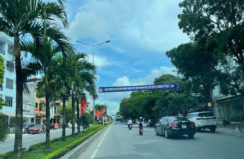 Sẽ sáp nhập huyện Đông Sơn vào TP Thanh Hóa?- Ảnh 2. Cây xanh bóng mát trên đường Quang Trung, TP Thanh Hóa - Ảnh: HÀ ĐỒNG