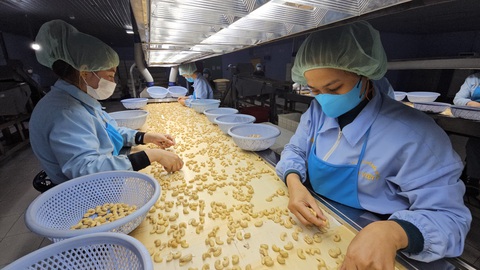 Hạt điều thô tăng giá 50%, doanh nghiệp Việt đau đầu vì bị 'xù' hợp đồng, nguy cơ lỗ nặng- Ảnh 1. Chế biến điều nhân xuất khẩu tại một doanh nghiệp phía Nam - Ảnh: N.TRÍ