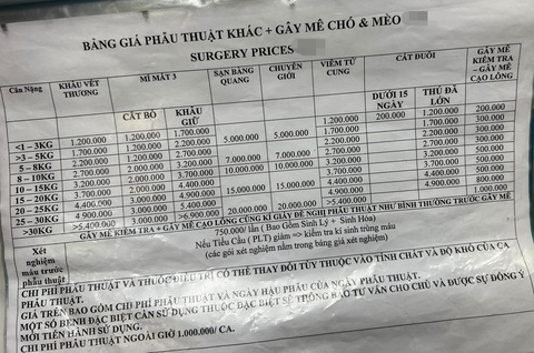 Chữa bệnh cho thú cưng: Hoang mang trong ma trận- Ảnh 3. Bảng giá tại một phòng khám thú cưng ở quận Bình Thạnh, TP.HCM - Ảnh: YẾN TRINH